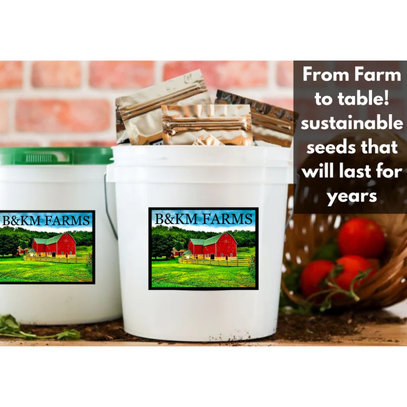 50 Vegetable Seed Packet Vault: 50,000 Heirloom Seeds - Image 6